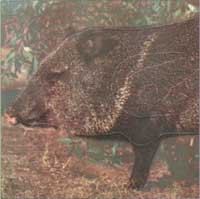 Martin - Javelina (Mat-2)*