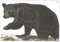 Bear - G1 (NFA-01)