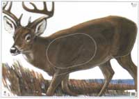 Deer - G1 (NFA-03)