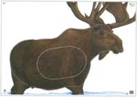 Moose - G1 (NFA-04)