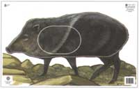 Javalina - G3 (NFA-14)