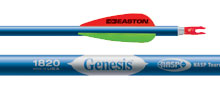 Easton - Genesis Arrows